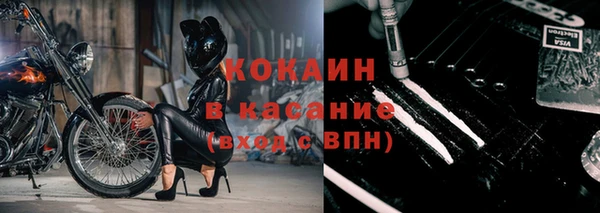 дживик Алексин