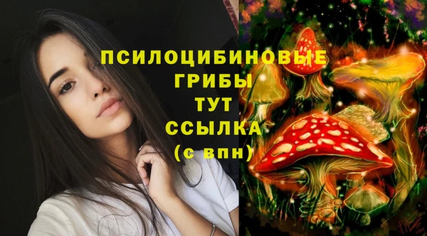 дживик Алексин