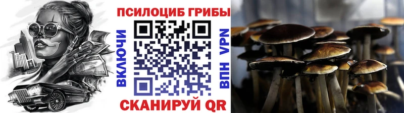 Псилоцибиновые грибы ЛСД купить цена Ревда